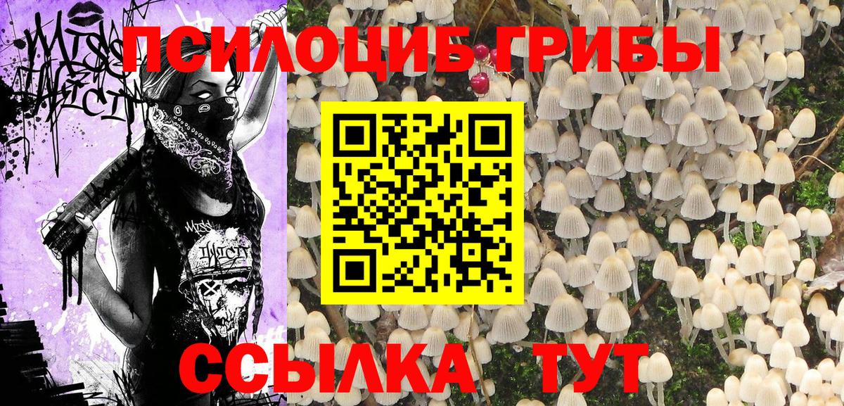 Псилоцибиновые грибы мухоморы Туймазы